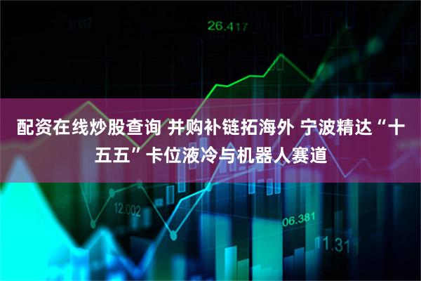配资在线炒股查询 并购补链拓海外 宁波精达“十五五”卡位液冷与机器人赛道